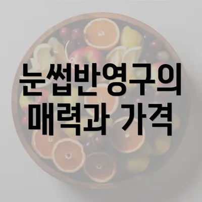 눈썹반영구의 매력과 가격