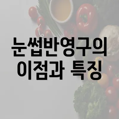 눈썹반영구의 이점과 특징