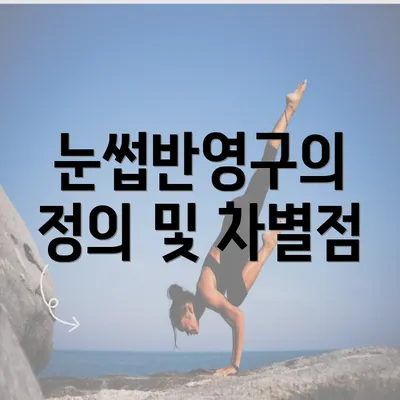 눈썹반영구의 정의 및 차별점