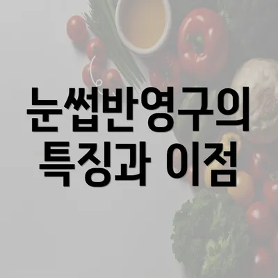 눈썹반영구의 특징과 이점