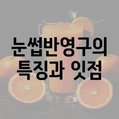 눈썹반영구의 특징과 잇점