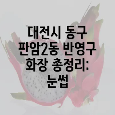 대전시 동구 판암2동 반영구 화장 총정리: 눈썹