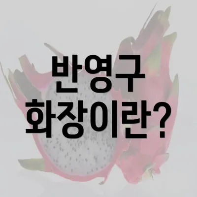 반영구 화장이란?