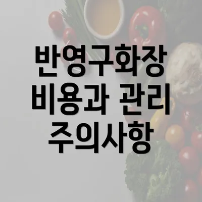 반영구화장 비용과 관리 주의사항