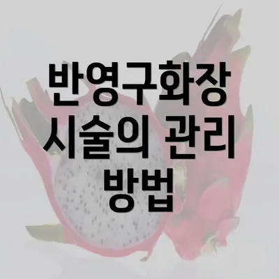 반영구화장 시술의 관리 방법