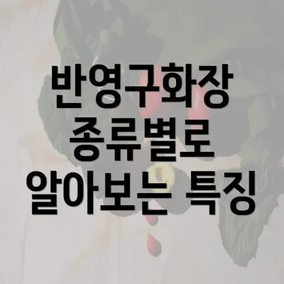 반영구화장 종류별로 알아보는 특징