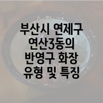 부산시 연제구 연산3동의 반영구 화장 유형 및 특징