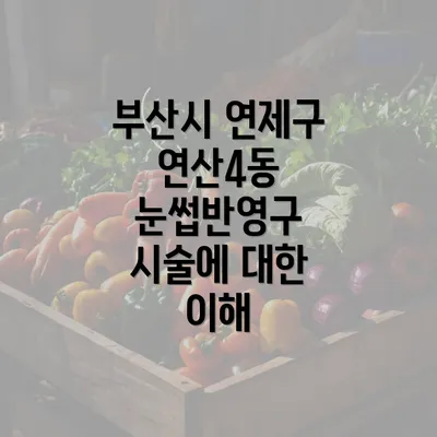 부산시 연제구 연산4동 눈썹반영구 시술에 대한 이해