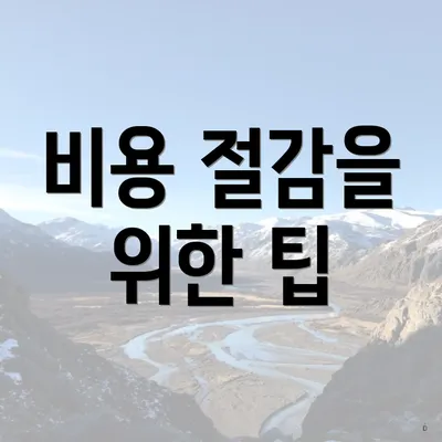 비용 절감을 위한 팁