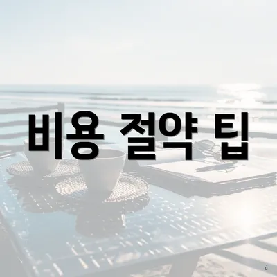 비용 절약 팁