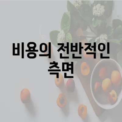 비용의 전반적인 측면