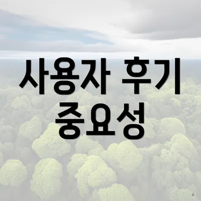 사용자 후기 중요성