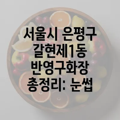 서울시 은평구 갈현제1동 반영구 화장 총정리: 눈썹