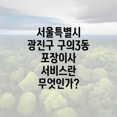 서울특별시 광진구 구의3동 포장이사 서비스란 무엇인가?