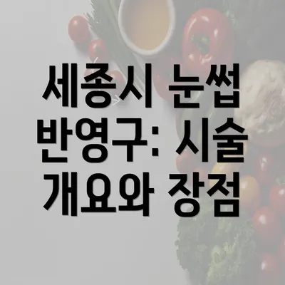 세종시 눈썹 반영구: 시술 개요와 장점