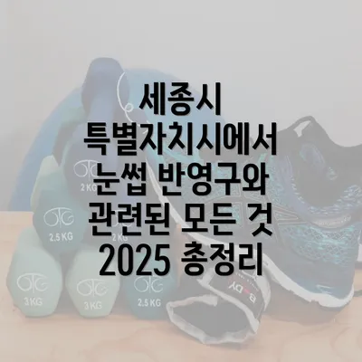 세종시 특별자치시에서 눈썹 반영구와 관련된 모든 것 2025 총정리