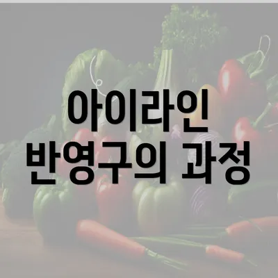 아이라인 반영구의 과정