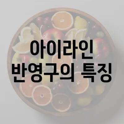 아이라인 반영구의 특징