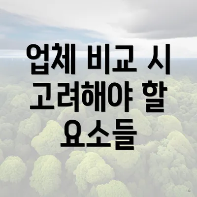 업체 비교 시 고려해야 할 요소들