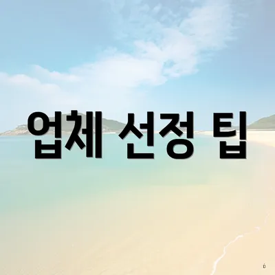 업체 선정 팁