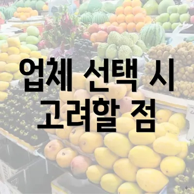 업체 선택 시 고려할 점