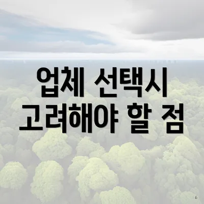 업체 선택시 고려해야 할 점