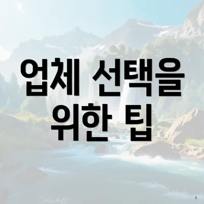 업체 선택을 위한 팁