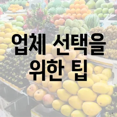 업체 선택을 위한 팁