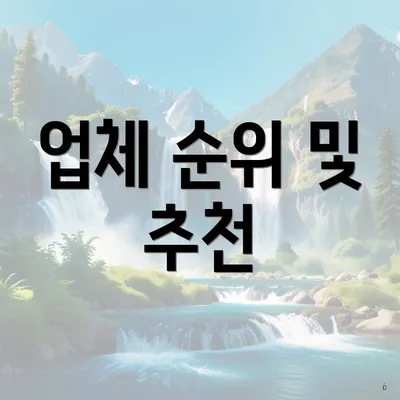 업체 순위 및 추천