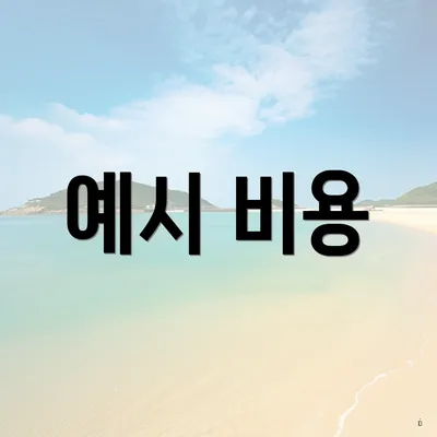 예시 비용