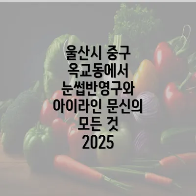 울산시 중구 옥교동에서 눈썹반영구와 아이라인 문신의 모든 것 2025