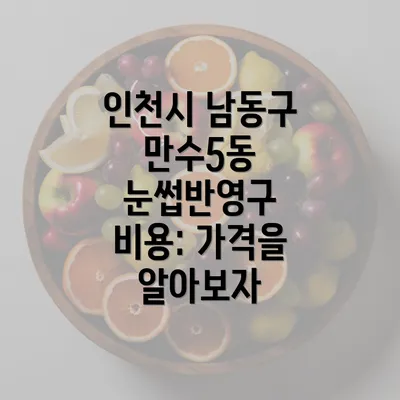 인천시 남동구 만수5동 눈썹반영구 비용: 가격을 알아보자