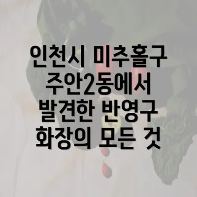 인천시 미추홀구 주안2동에서 발견한 반영구 화장의 모든 것