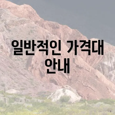 일반적인 가격대 안내