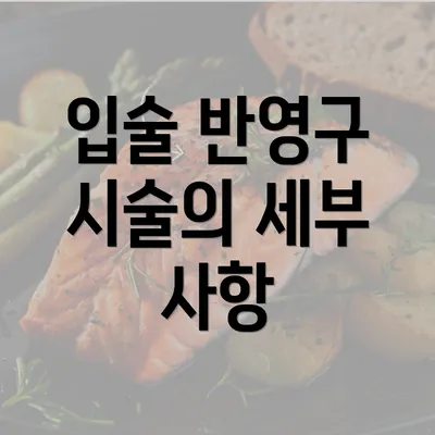 입술 반영구 시술의 세부 사항