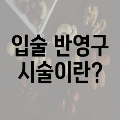 입술 반영구 시술이란?