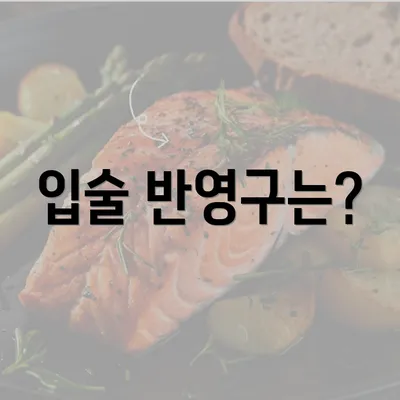 입술 반영구는?