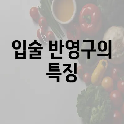 입술 반영구의 특징