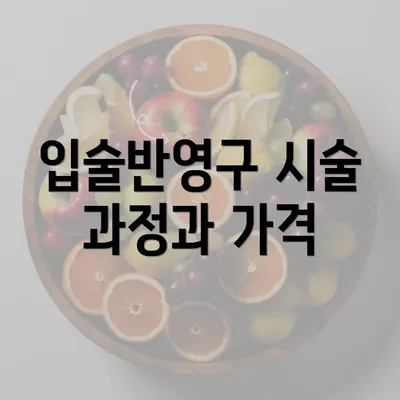 입술반영구 시술 과정과 가격