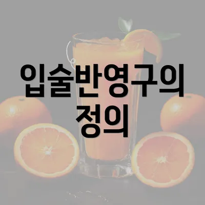 입술반영구의 정의