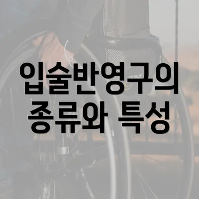 입술반영구의 종류와 특성