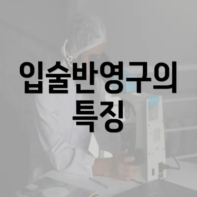 입술반영구의 특징