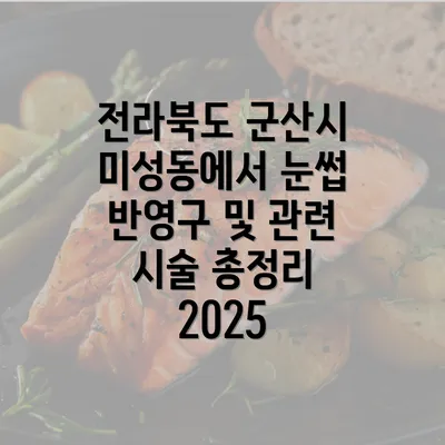 전라북도 군산시 미성동에서 눈썹 반영구 및 관련 시술 총정리 2025