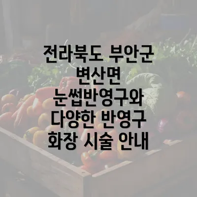 전라북도 부안군 변산면 눈썹반영구와 다양한 반영구 화장 시술 안내