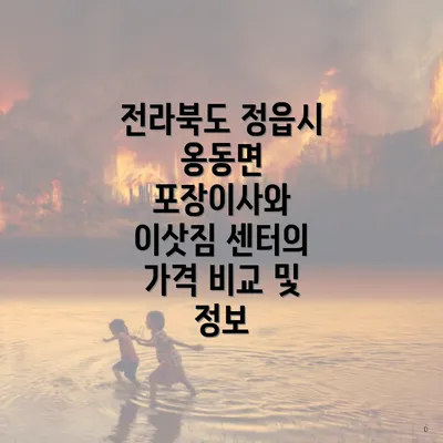 전라북도 정읍시 옹동면 포장이사와 이삿짐 센터의 가격 비교 및 정보