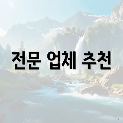 전문 업체 추천