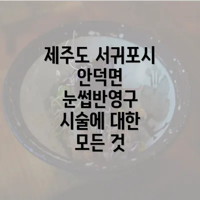 제주도 서귀포시 안덕면 눈썹반영구 시술에 대한 모든 것