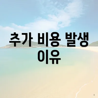 추가 비용 발생 이유