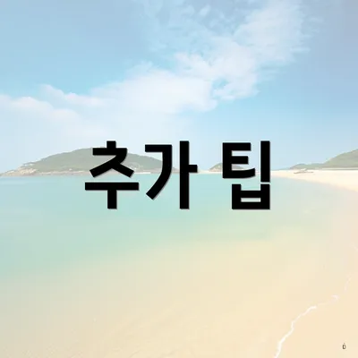 추가 팁