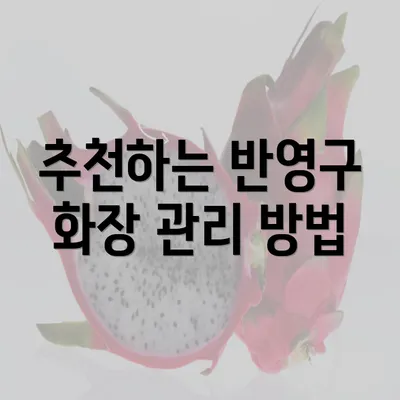 추천하는 반영구 화장 관리 방법